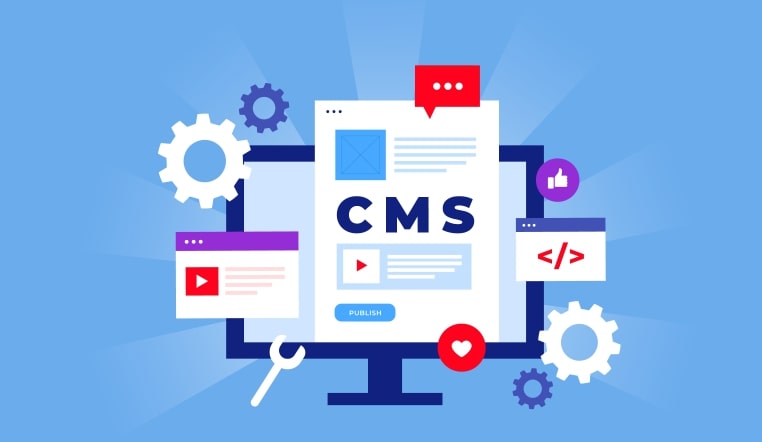 CMS Development